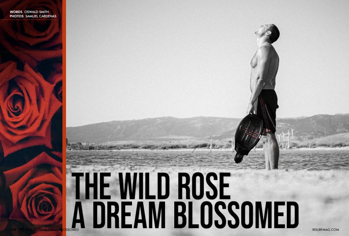 The Wild Rose - A Dream Blossomed